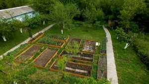 garden-01