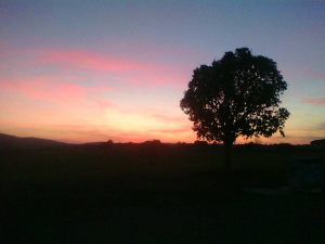 Evening